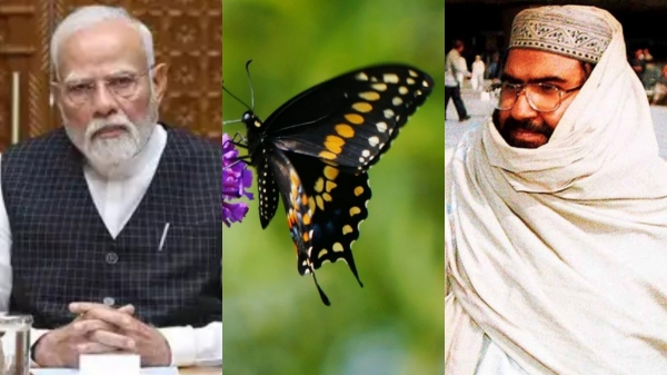pakistan Jammu Kashmir pakistan Jammu Kashmir