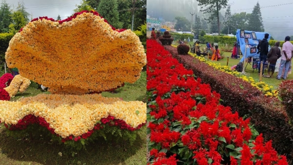 Salem yercaud Flower Show