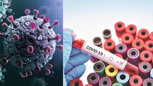 why-covid-19-case-gradual-rise-in-india-what-is-nb-1-8-1-and-lf-7-corono-virus-new-covid-19-varian