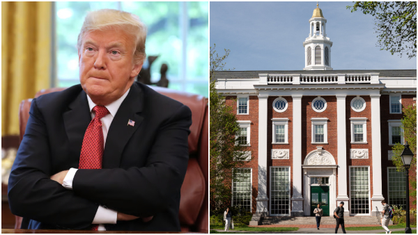 Harvard US Harvard US