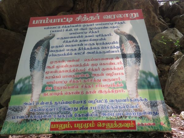 spirtuality paampatti siddhar
