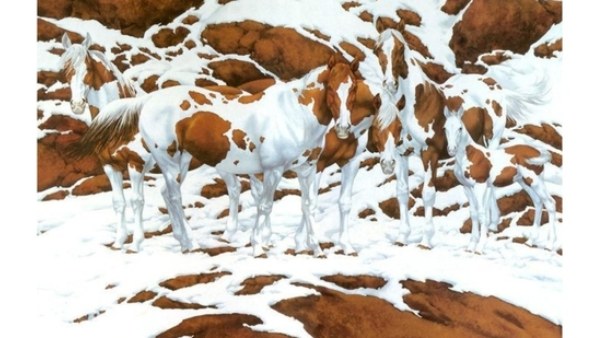 how-many-horses-are-there-in-the-picture-if-you-find-the-correct-answer-you-are-a-genius-7-secon how-many-horses-are-there-in-the-picture-if-you-find-the-correct-answer-you-are-a-genius-7-secon