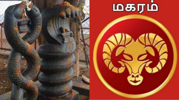 Rahu Ketu peyarchi Magaram