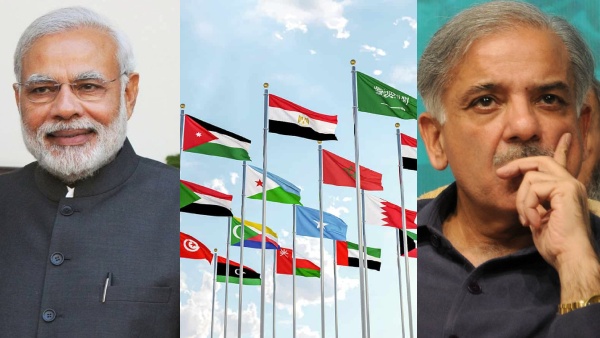 india-vs-pakistan-what-is-stand-of-muslim-countries-like-saudi-arabia-turkey-and-iran-and-some-oth
