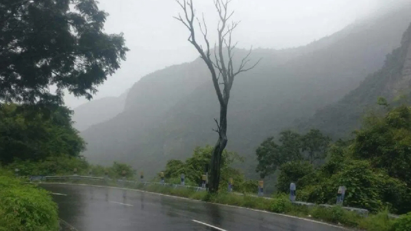TN Rain Update Avalanche In Nilgiris Sees 215 mm Rainfall Highest in Last 24 Hours