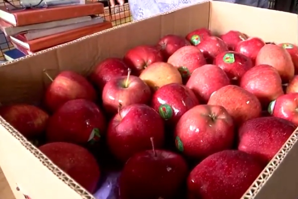 turkey pakistan apple