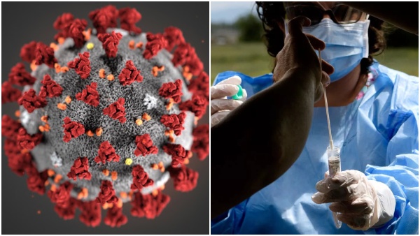 Tamil Nadu coronavirus covid 19 Tamil Nadu coronavirus covid 19