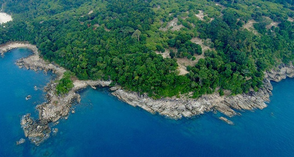 What happened to the Indian tourist who wanted to take a selfie with a tiger in Thailand What happened to the Indian tourist who wanted to take a selfie with a tiger in Thailand