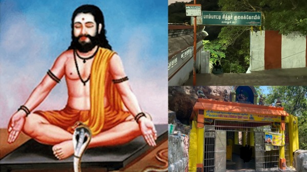 spirtuality paampatti siddhar