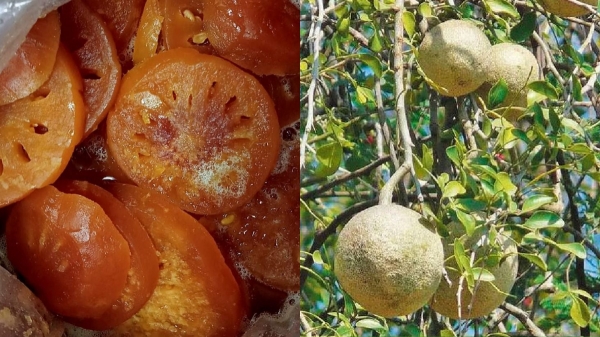 health sivaththurumam health sivaththurumam