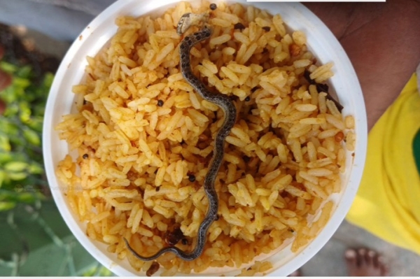 Hosur Snake Temple Hosur Snake Temple