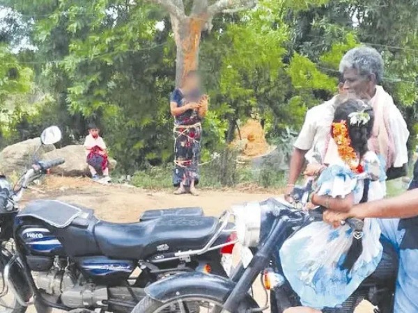 Andhra pradesh Bank Loan tree Andhra pradesh Bank Loan tree