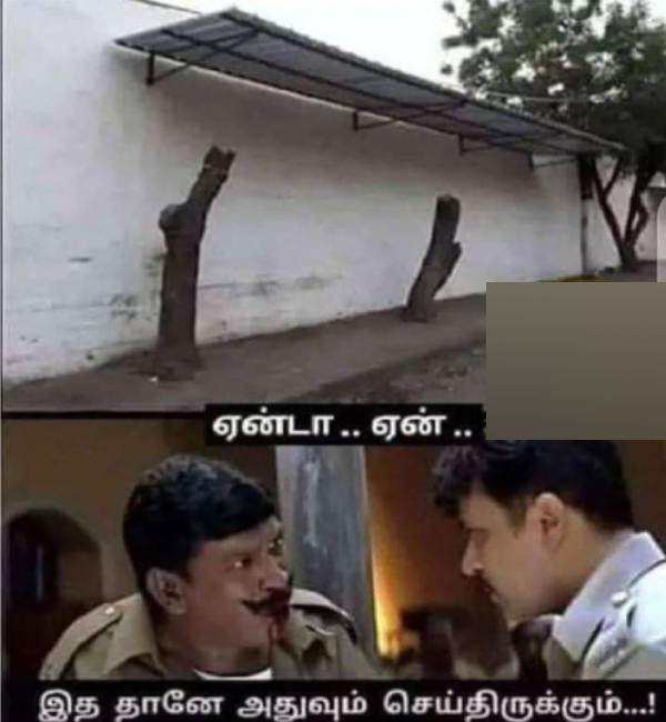 summer sun tea rain school leave memes