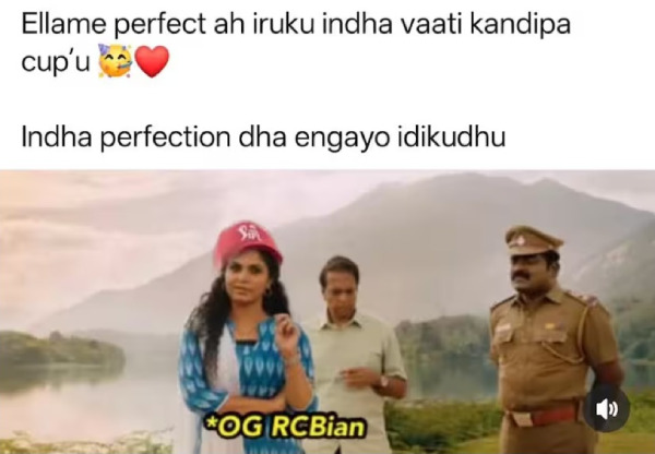 IPL 2025 csk rcb srh Pbks gt dhoni memes 2025