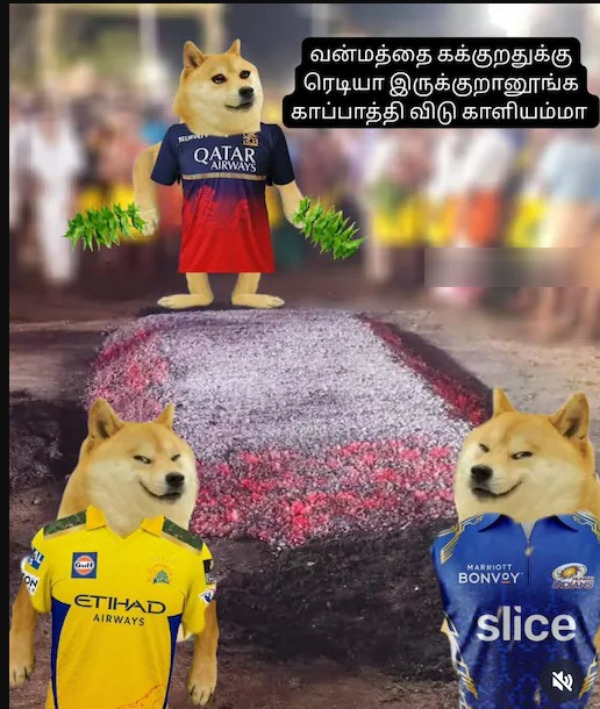 IPL 2025 csk rcb srh Pbks gt dhoni memes 2025