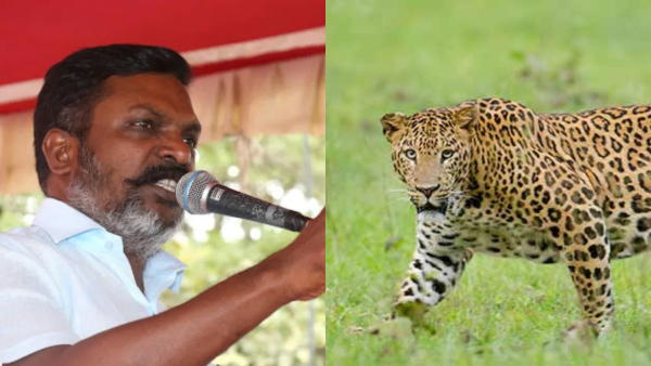 Thirumavalavan Tamil nadu DMK