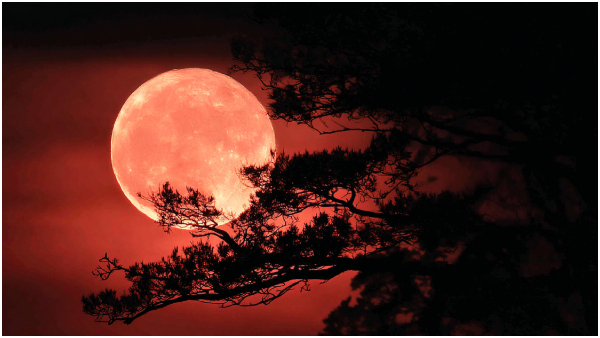 Moon earth Moon earth