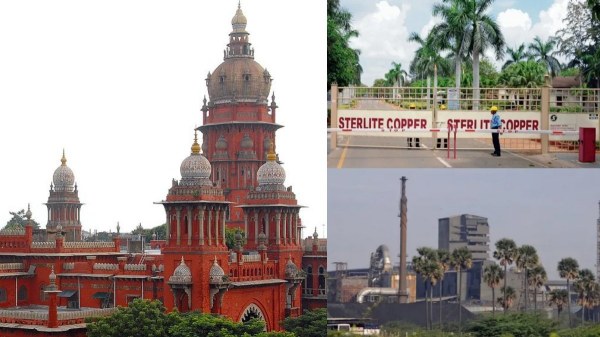 Thoothukudi strelite Thoothukudi strelite