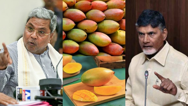 andhra-pradesh-ban-on-import-of-totapuri-mango-from-karnataka