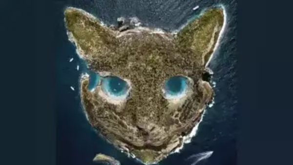 discover-your-true-character-through-this-optical-illusion