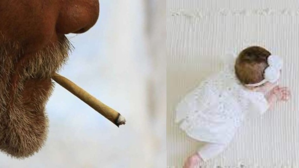 tragic-incident-in-mangalore-baby-dies-after-swallowing-beedi-stub-thrown-by-father tragic-incident-in-mangalore-baby-dies-after-swallowing-beedi-stub-thrown-by-father