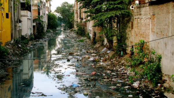 Rising Dengue Cases in Chennai Spark Public Concern 30 Infected Daily Rising Dengue Cases in Chennai Spark Public Concern 30 Infected Daily