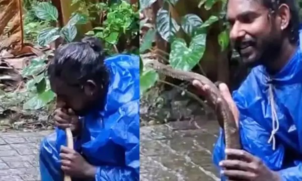 Snake artificial respiration CPR