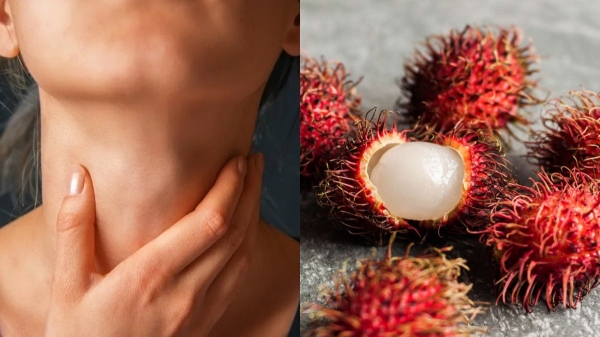 health rambutan tirunelveli