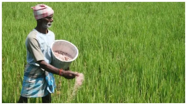 old-procedure-will-be-followed-for-agricultural-loans-tamil-nadu-government-announcement