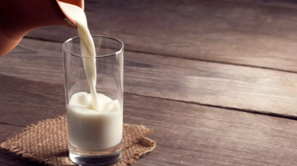 What is Non-Veg Milk Why It s a Major Hurdle in India-US Trade Deal Talks What is Non-Veg Milk Why It s a Major Hurdle in India-US Trade Deal Talks