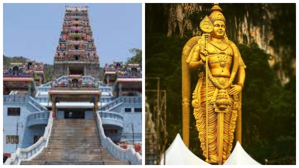 maruthamalai-statue-chennai-high-court-asked-explains-from-forest-department-over-maruthamalai-muru maruthamalai-statue-chennai-high-court-asked-explains-from-forest-department-over-maruthamalai-muru