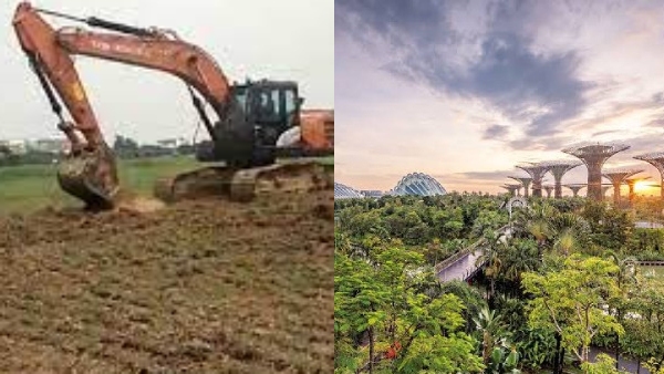 Interim Stay on National Green Park Project at Guindy Race Course Grounds Interim Stay on National Green Park Project at Guindy Race Course Grounds