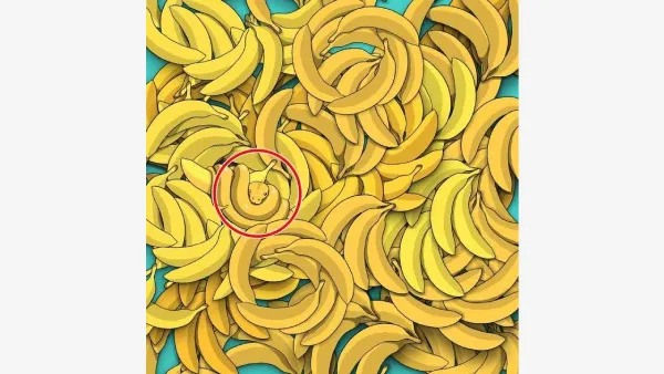 optical-illusion-where-is-the-snake-among-the-bananas-can-you-find-it-in-7-seconds