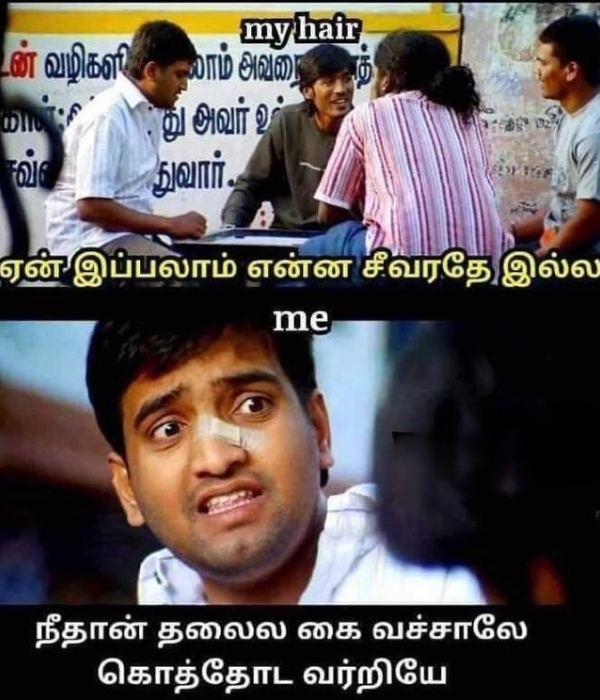 memes comedy motivational instagram memes
