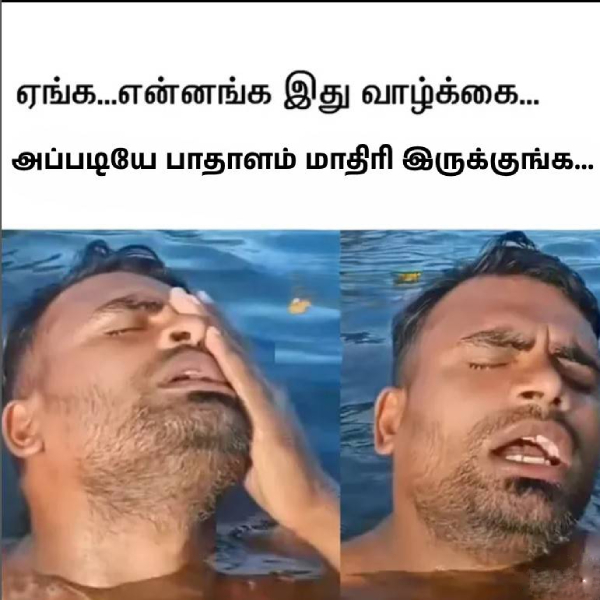 memes comedy motivational instagram memes