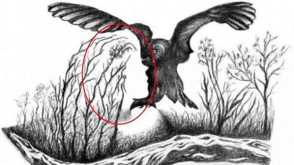 optical illusion offbeat trend