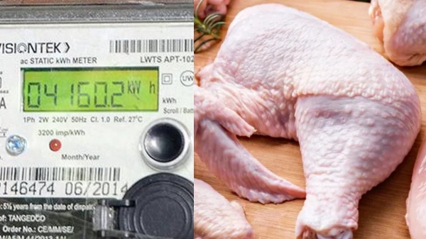 Free Electricity Chicken poultry farms Free Electricity Chicken poultry farms