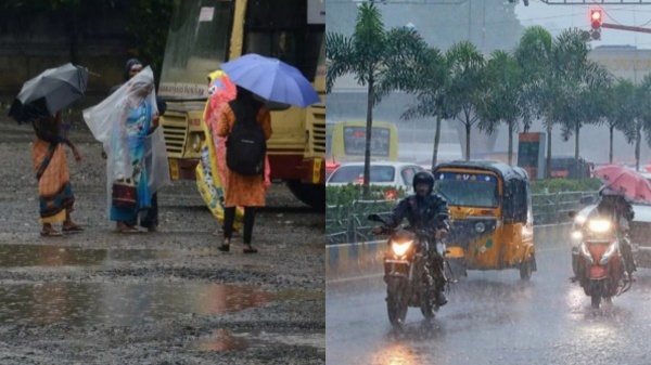 Rain vijay TVK Madurai Manadu