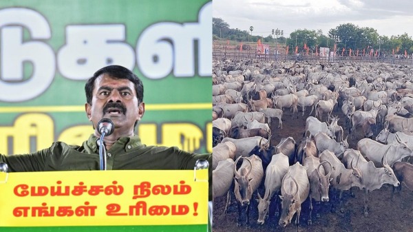 theni seeman ntk