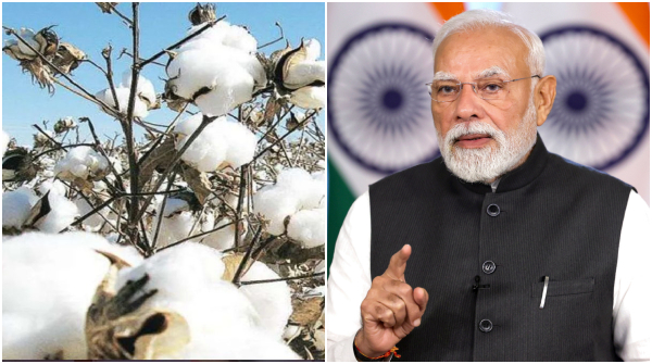 cotton import duty wavier tiruppur textile industry Narendra Modi cotton import duty wavier tiruppur textile industry Narendra Modi