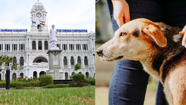 Dog Owners Alert Chennai Corporation Enforces Mask Rule in Public Areas Dog Owners Alert Chennai Corporation Enforces Mask Rule in Public Areas