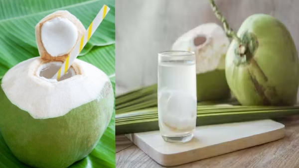 Who Should Avoid Drinking Tender Coconut Water Health Risks amp amp Expert Advice Who Should Avoid Drinking Tender Coconut Water Health Risks amp amp Expert Advice
