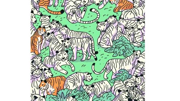 can-you-find-the-zebra-in-the-optical-illusion-picture-if-you-find-it-within-6-seconds-you-are-a-g can-you-find-the-zebra-in-the-optical-illusion-picture-if-you-find-it-within-6-seconds-you-are-a-g