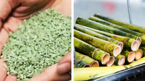 Health Bamboo Rice Bamboo Rice kanji Health Bamboo Rice Bamboo Rice kanji