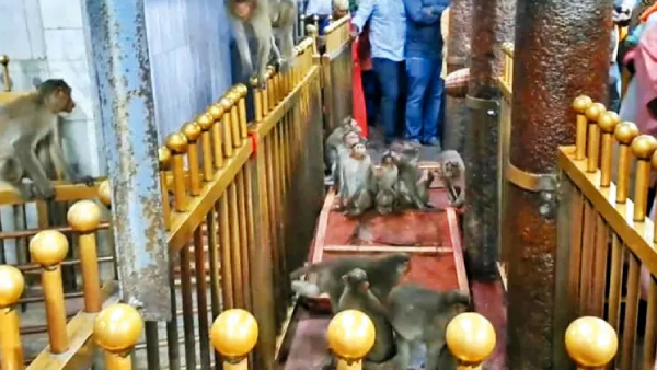 thiruvallur thirutani murugan temple Tiruttani thiruvallur thirutani murugan temple Tiruttani