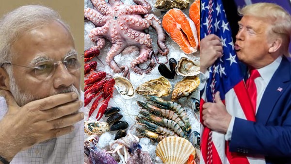 us-tariff-on-india-how-donald-trump-tariffs-affect-seafood-companies-in-thoothukudi-district