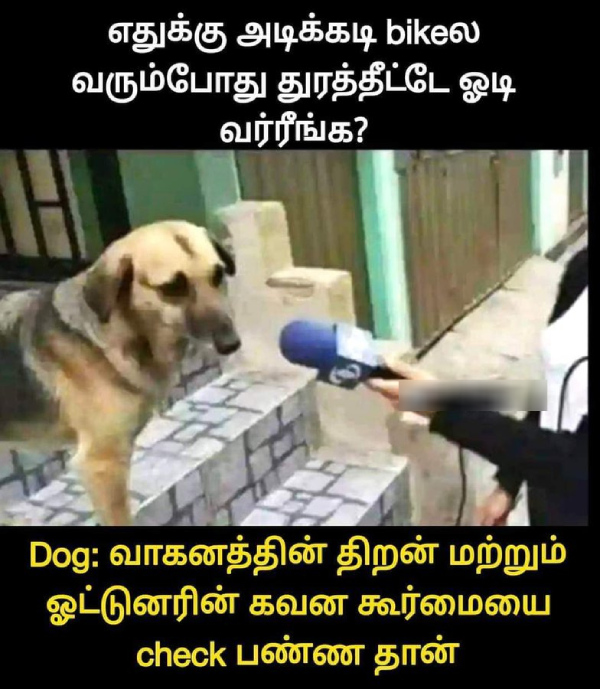 memes comedy motivational instagram memes