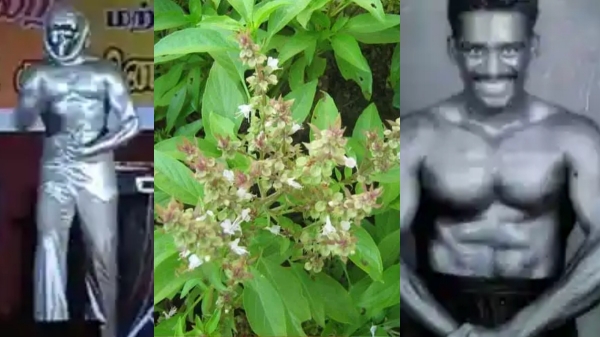 Robo Shankar Pachilai Vaithiyam Aluminum Paint