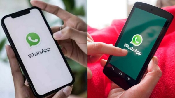 whatsapp quik share button