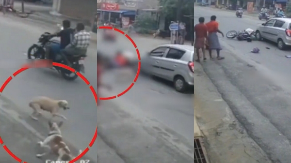 erode crime